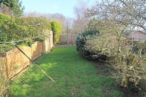 Garden- click for photo gallery